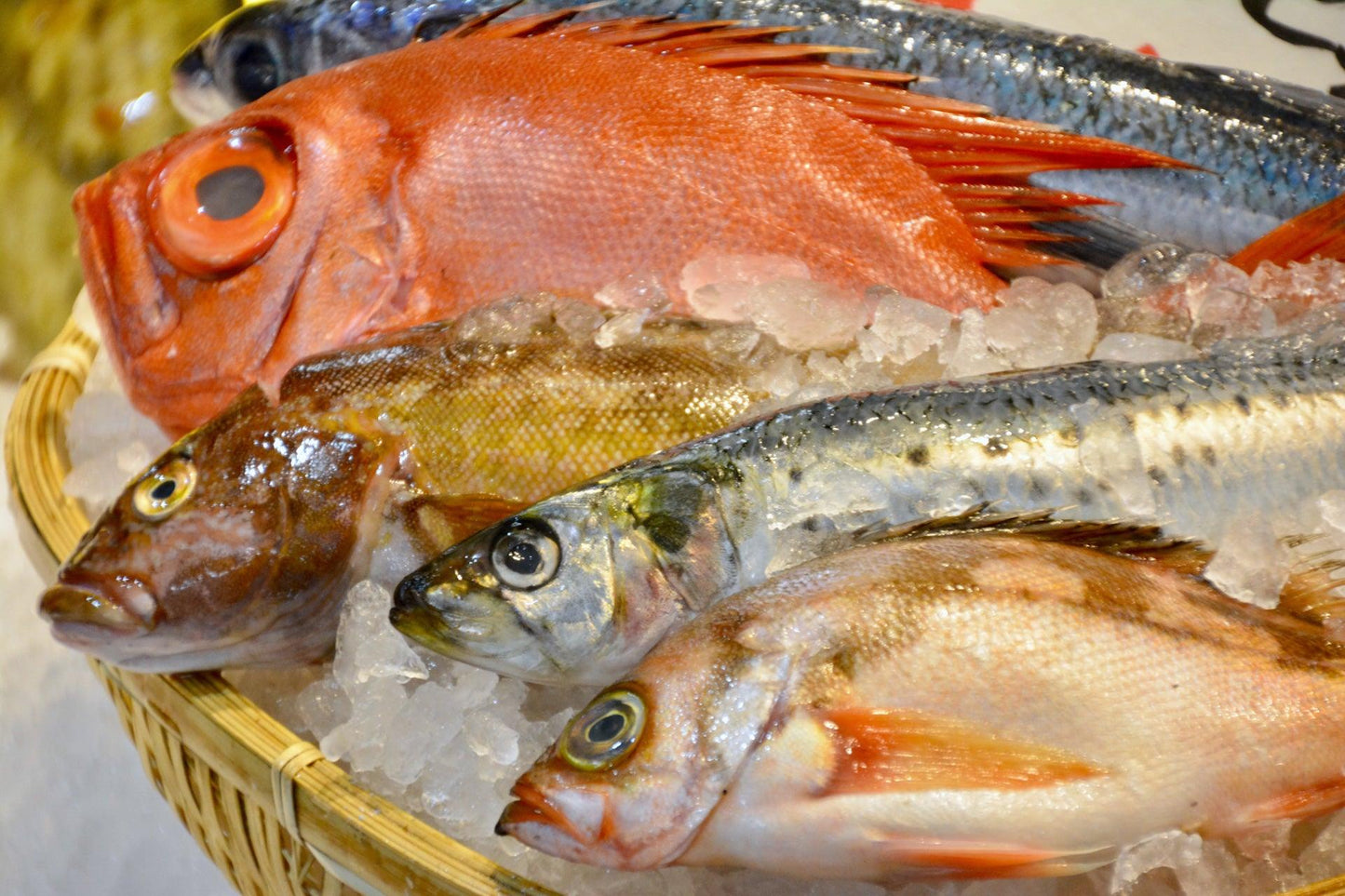 Seminar zum Verarbeitung und Verwendung von Fisch I Meeresfrüchte I Krustentiere - Cucinata