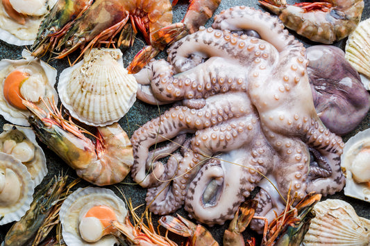Meeresfrüchte eine kulinarische Reise, die alle Deine Sinne erwecken wird - Cucinata