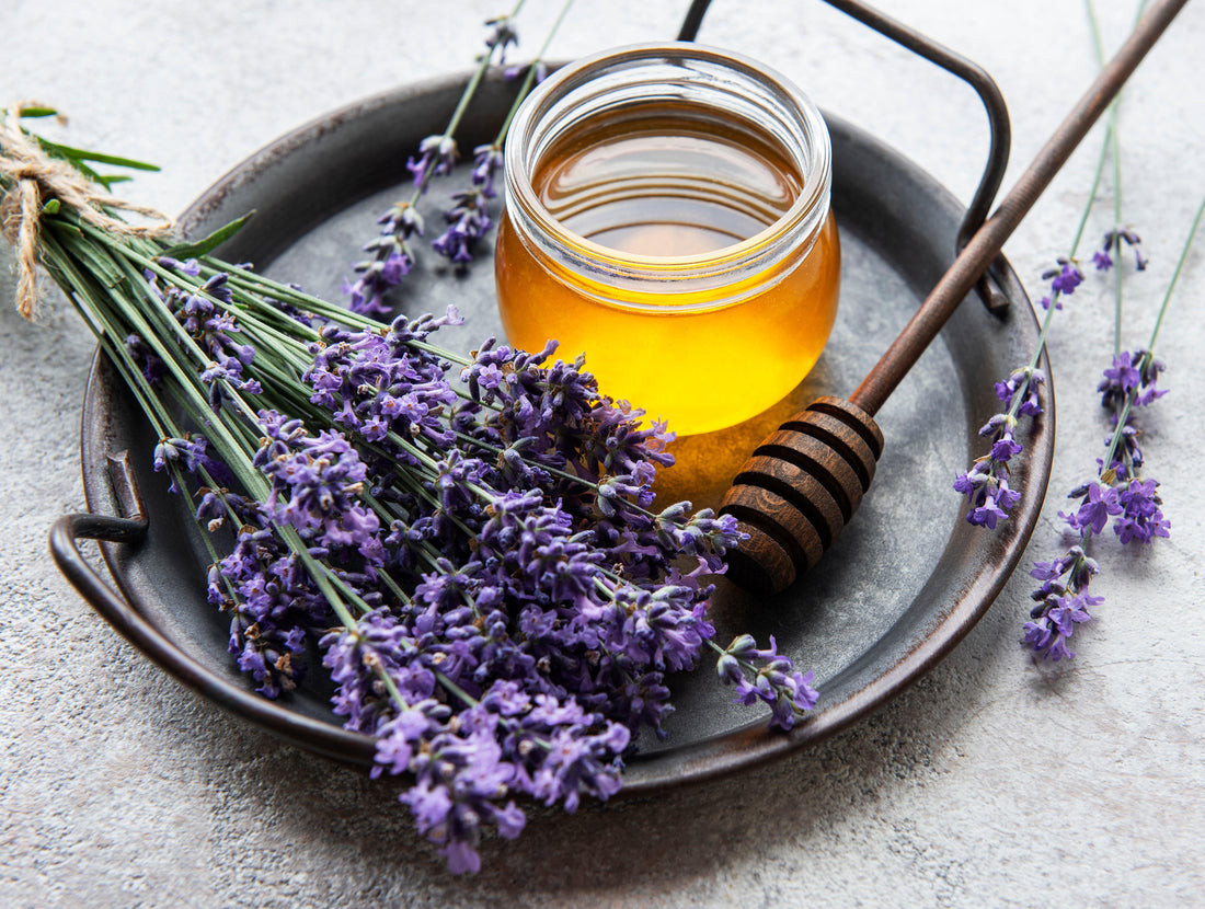 Die Magie von Lavendel: Geschichte, Anwendungen und kulinarische Köstlichkeiten - Cucinata